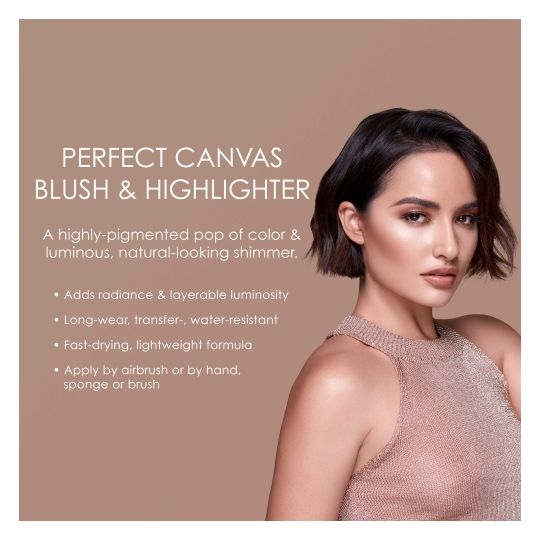 Temptu Perfect Canvas Blush & Highlighter Starter Set