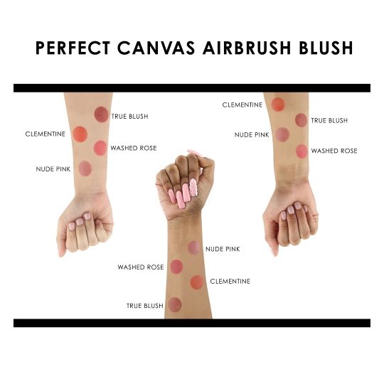 Temptu Perfect Canvas Blush & Highlighter Starter Set