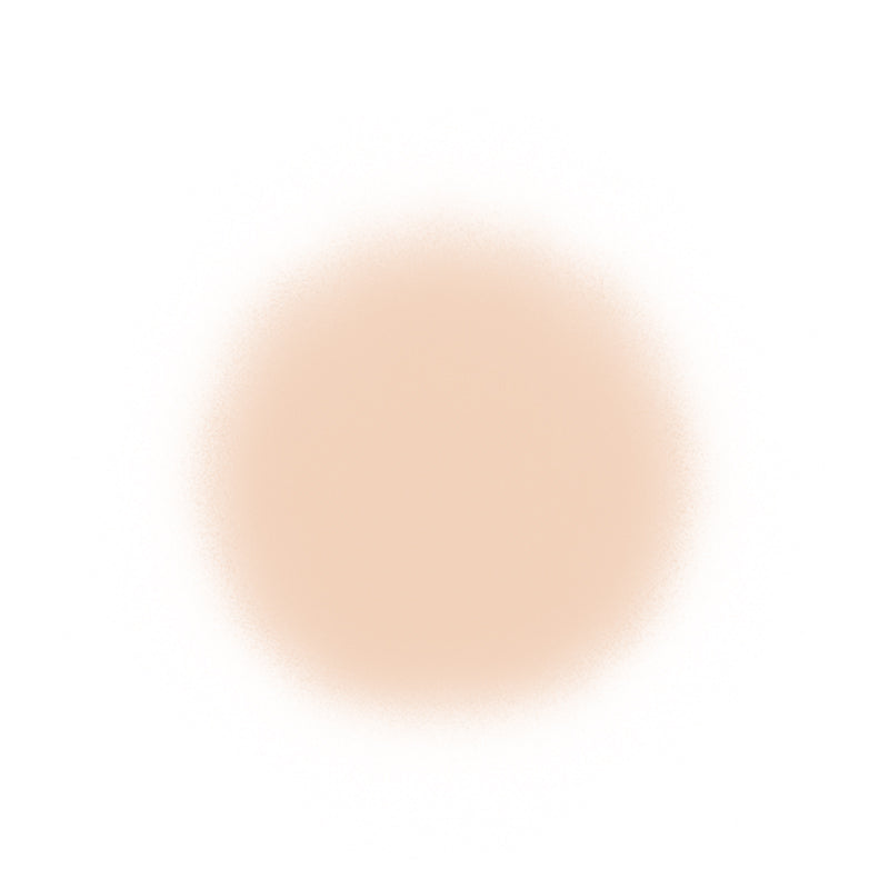Temptu Perfect Canvas Airbrush Foundation 30ml