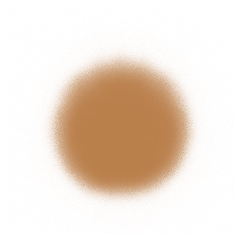 Temptu Perfect Canvas Airbrush Foundation 30ml