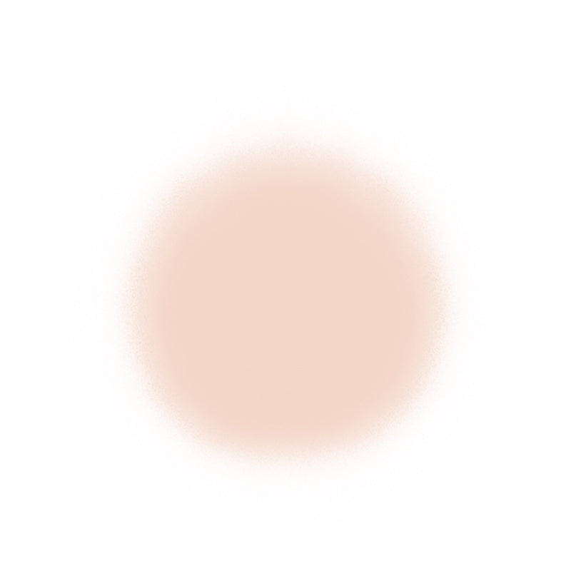 Temptu Perfect Canvas Airbrush Foundation 30ml