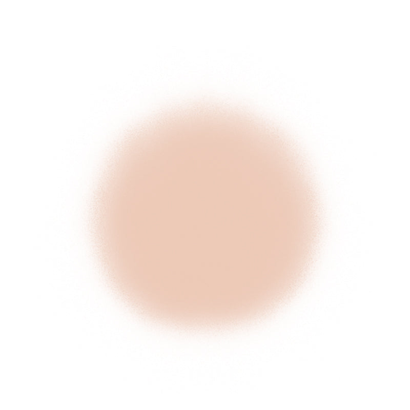 Temptu Perfect Canvas Airbrush Foundation 30ml