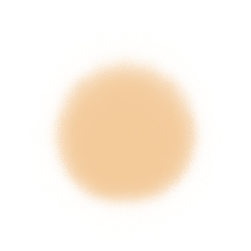 Temptu Perfect Canvas Airbrush Foundation 30ml