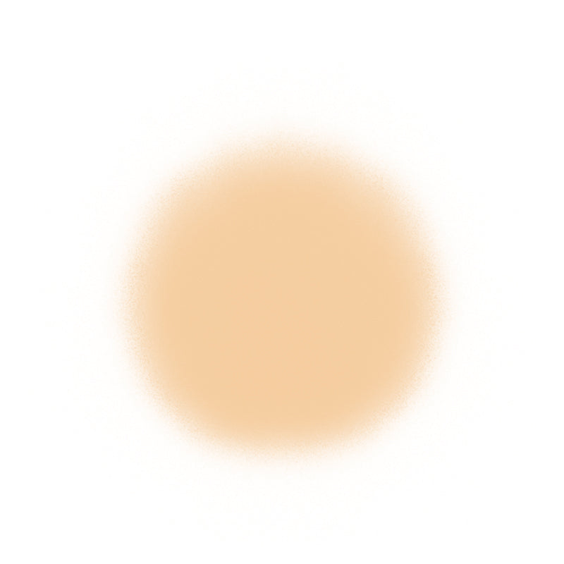 Temptu Perfect Canvas Airbrush Foundation 30ml