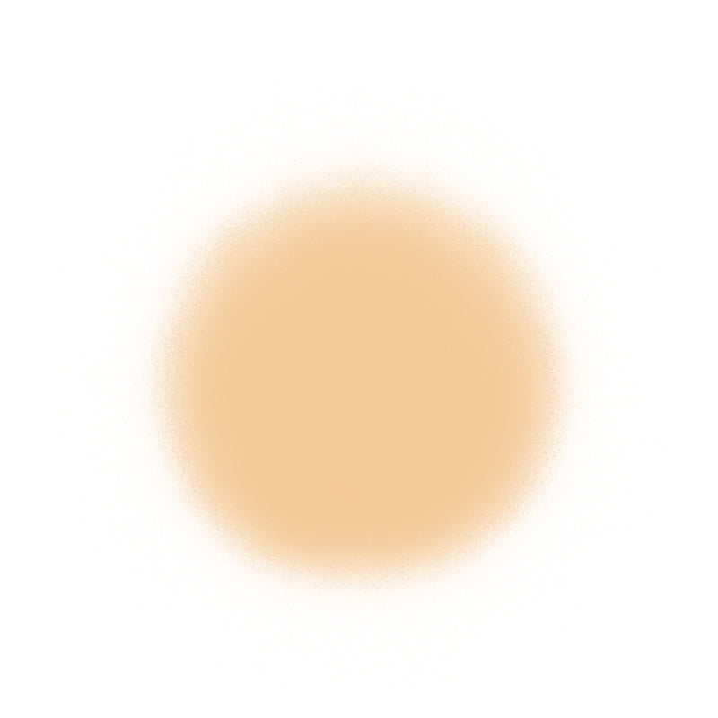 Temptu Perfect Canvas Airbrush Foundation 30ml