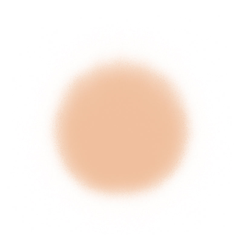 Temptu Perfect Canvas Airbrush Foundation 30ml