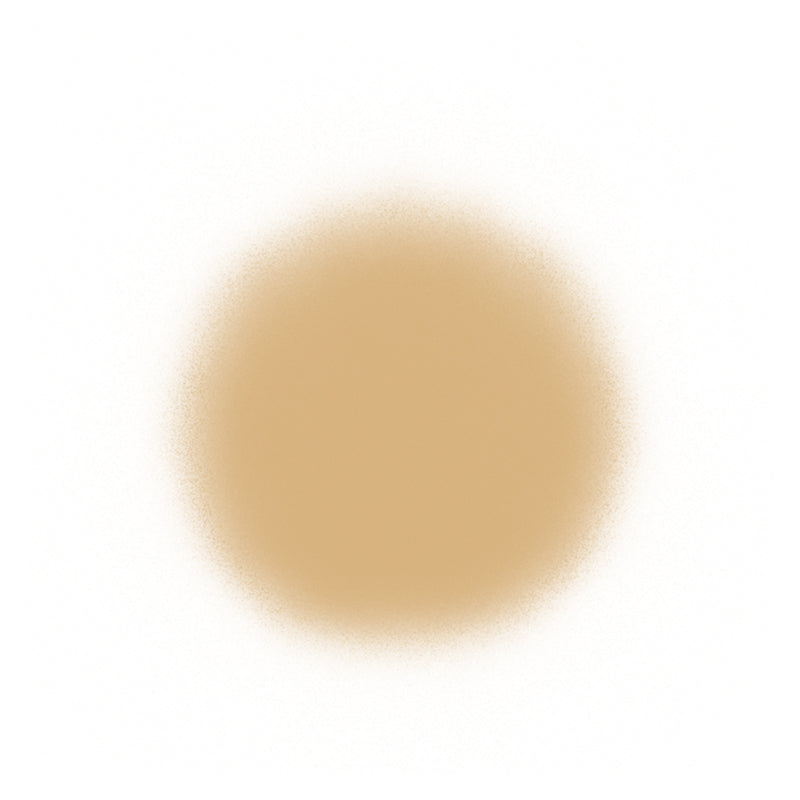 Temptu Perfect Canvas Airbrush Foundation 30ml