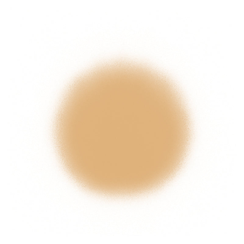 Temptu Perfect Canvas Airbrush Foundation 30ml