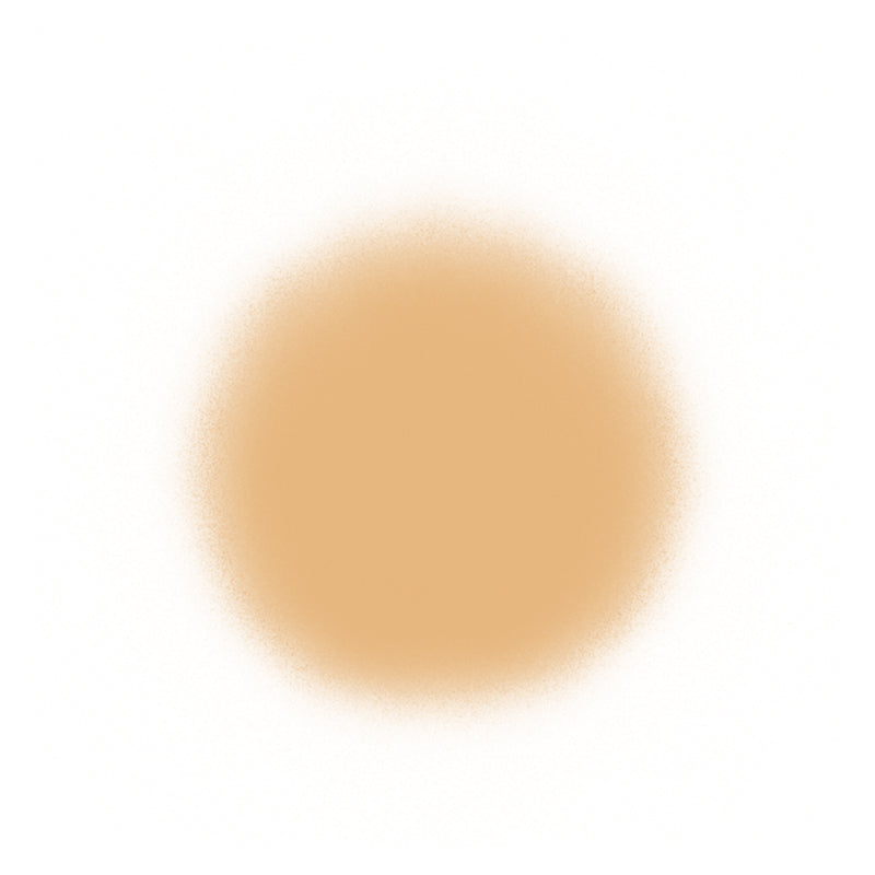 Temptu Perfect Canvas Airbrush Foundation 30ml