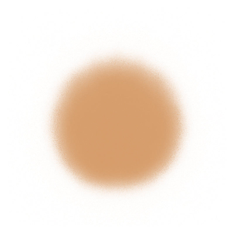 Temptu Perfect Canvas Airbrush Foundation 30ml