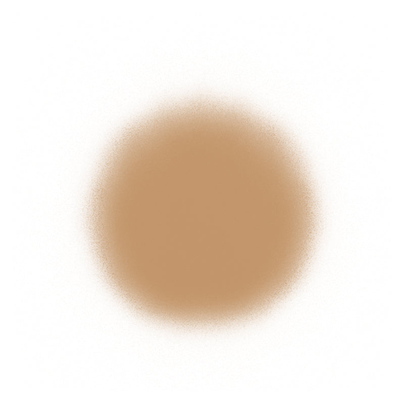 Temptu Perfect Canvas Airbrush Foundation 30ml