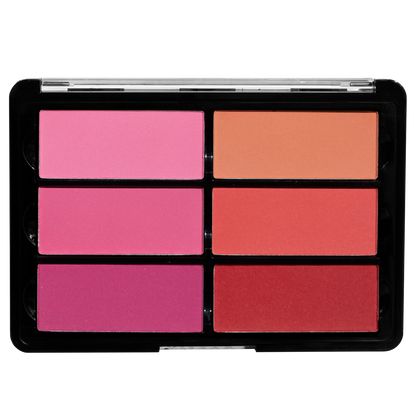 VISEART BLUSH PALETTE ROSE/CORAL